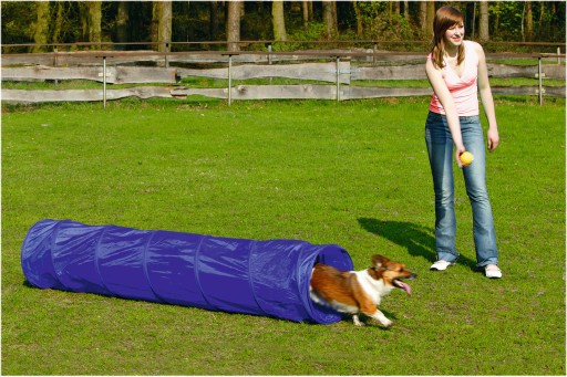 beeztees agility tunnel - hondenspeelgoed - s - 198x40x40 cm