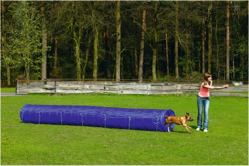 Afbeelding beeztees agility tunnel - hondenspeelgoed - l - 525x60x60 cm door K-9 Security dogs