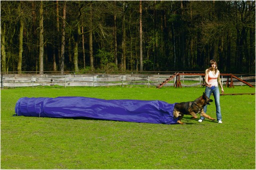 Afbeelding beeztees agility tunnel met zak - hondenspeelgoed - 500x60x60 cm door K-9 Security dogs