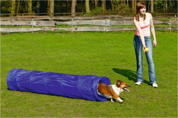 Beeztees Agility Tunnel - Hondenspeelgoed - S - 198x40x40 cm