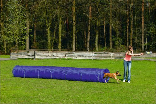 Beeztees Agility Tunnel - Hondenspeelgoed - L - 525x60x60 cm