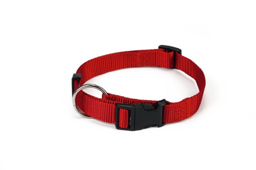 beeztees - halsband hond - nylon - rood - 30-45 cm x 15 mm