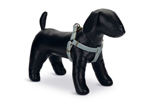 Afbeelding designed by lotte virante - hondentuig - mint - 26-40 cm door K-9 Security dogs