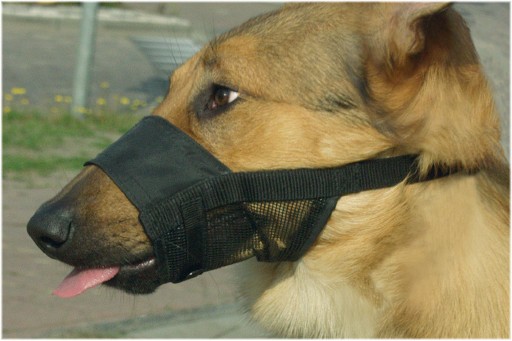 Afbeelding Comfort muilband verstelbaar zwart - XL door K-9 Security dogs