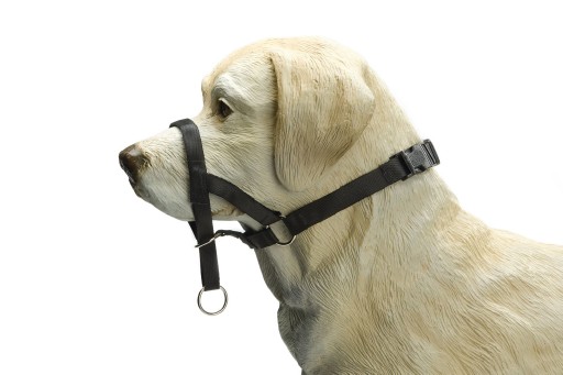 Beeztees Nylon dog control, zwart