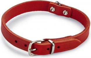 Beeztees - Halsband Hond - Leer - Rood - 32-37 cm x 16 mm