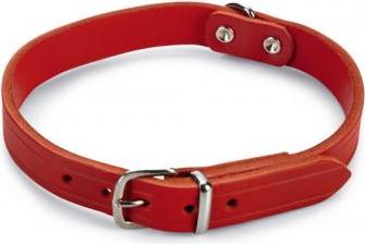 Beeztees - Halsband Hond - Leer - Rood - 35,5-41,5 cm x 18 mm