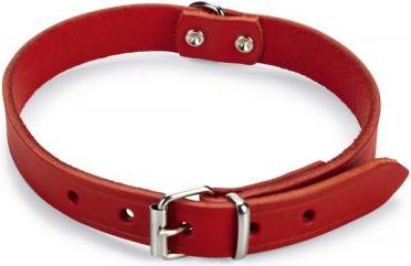 Beeztees - Halsband Hond - Leer - Rood - 37,5-46,5 cm x 20 mm