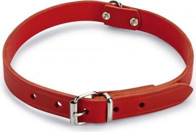 Beeztees - Halsband Hond - Leer - Rood - 43-52 cm x 20 mm