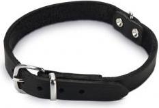 Beeztees - Halsband Hond - Leer - Zwart - 32-37 cm x 16 mm