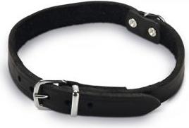 Beeztees - Halsband Hond - Leer - Zwart - 35,5-41,5 cm x 18 mm