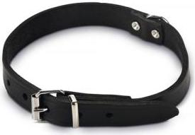 Beeztees - Halsband Hond - Leer - Zwart - 37,5-46,5 cm x 20 mm