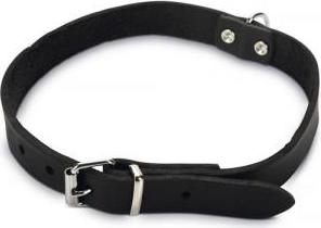 Beeztees - Halsband Hond - Leer - Zwart - 43-52 cm x 20 mm