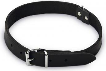 Beeztees - Halsband Hond - Leer - Zwart - 47-57 cm x 25 mm