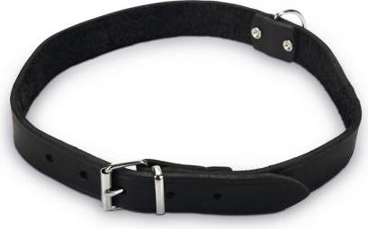 Beeztees - Halsband Hond - Leer - Zwart - 55-65 cm x 25 mm