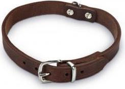 Beeztees - Halsband Hond - Leer - Bruin - 32-37 cm x 16 mm