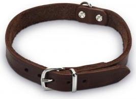 Beeztees - Halsband Hond - Leer - Bruin - 35,5-41,5 cm x 18 mm