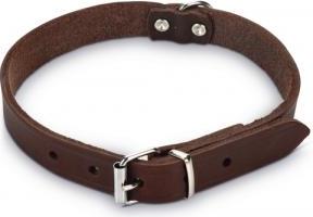 Beeztees - Halsband Hond - Leer - Bruin - 37,5-46,5 cm x 20 mm