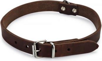 Beeztees - Halsband Hond - Leer - Bruin - 43-52 cm x 20 mm