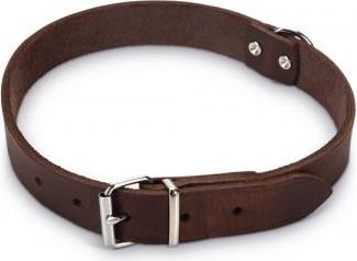 Beeztees - Halsband Hond - Leer - Bruin - 47-57 cm x 25 mm