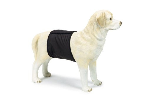 Afbeelding beeztees incontinentieband reu - hond - zwart - xs - 40x10 cm door K-9 Security dogs