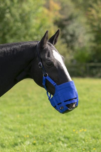 Anti-Graas The Ultimate Muzzle Pony