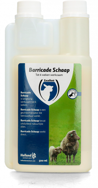 Barricade Schaap