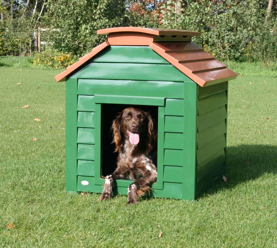 Dog House Medium Bungalow