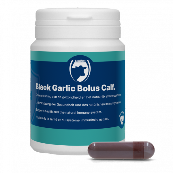 Black Garlic Bolus Calf afbeelding