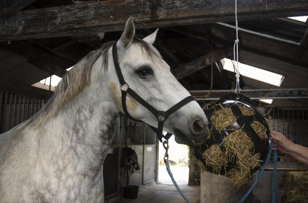 Hooi Feeder Dop Voor Heuboy afbeelding