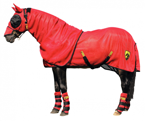 Horse Armor Knockdown Deken Ml 183 Cm (Insect Shield) afbeelding