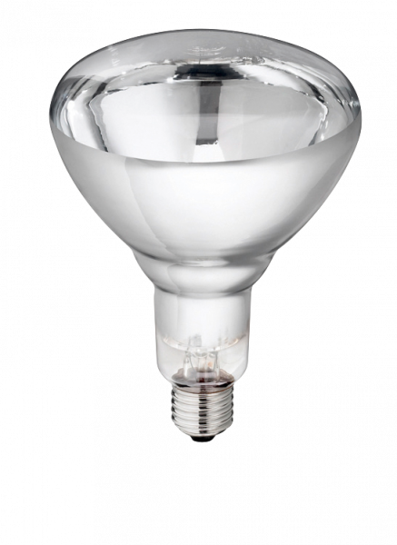 Lamp 250W Wit Hard Glas Philips afbeelding