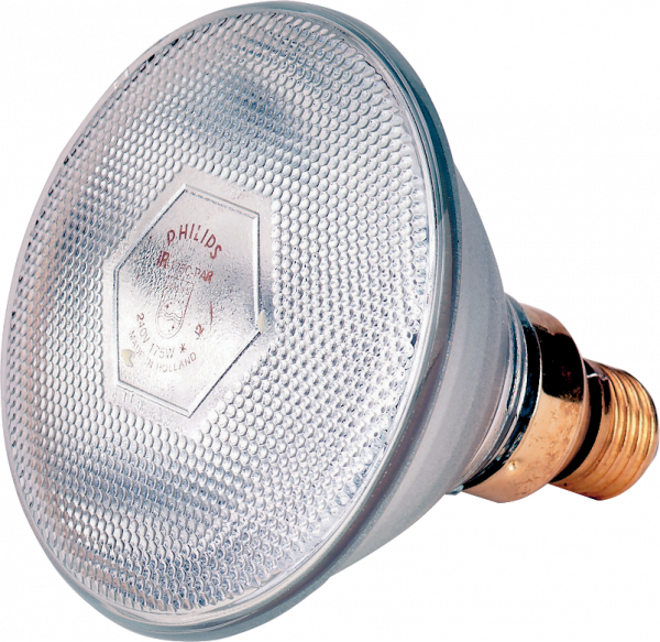 Lamp 100 W Wit Philips Spaar afbeelding