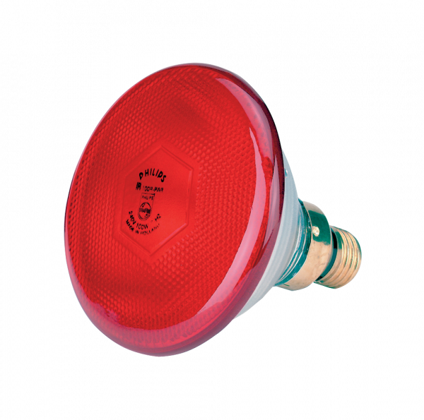 Lamp 100 W Rood Philips Spaar afbeelding