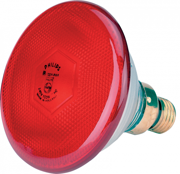 Lamp 175 W Rood Philips Spaar afbeelding