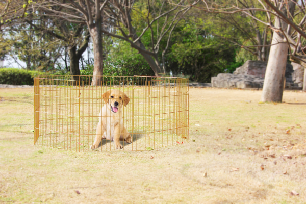 Pawise Dog Play Pen L afbeelding