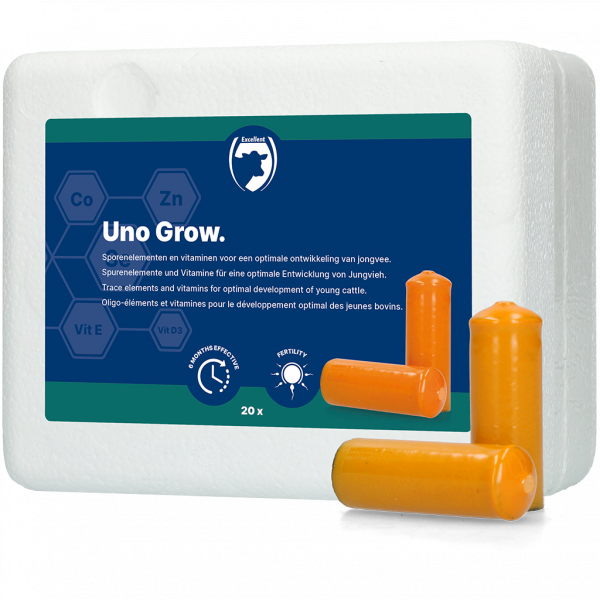 Uno Grow (Jongvee) afbeelding