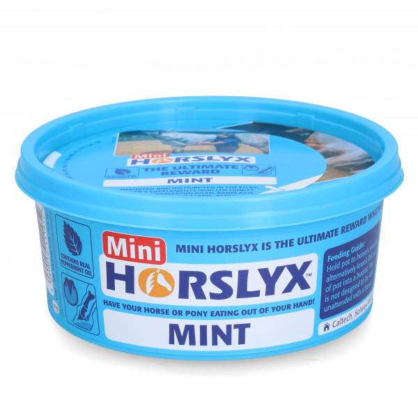 Horslyx Mini Mint afbeelding