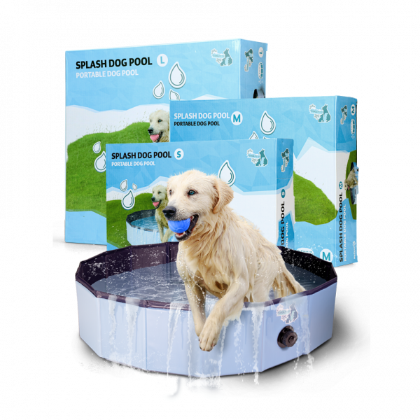 CoolPets Zwembad 80x20 afbeelding