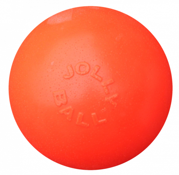 Jolly Ball Bounce-n Play 11cm Oranje (Vanillegeur) afbeelding