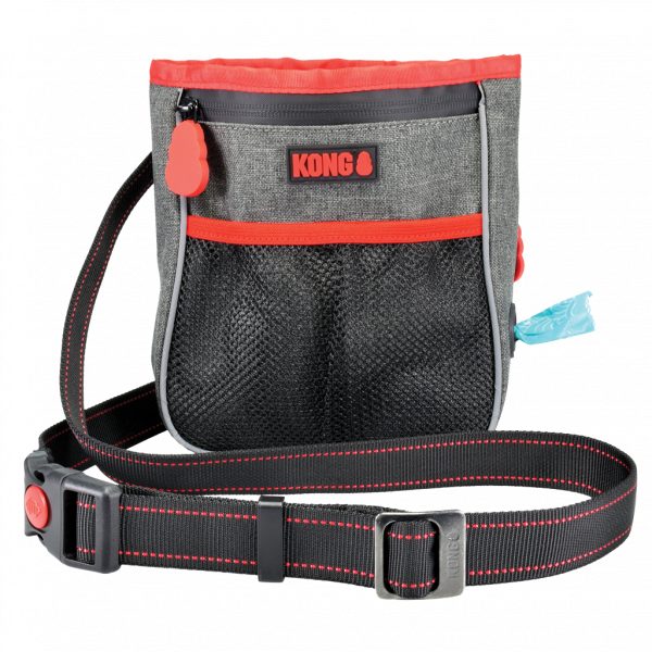 KONG Hiking Bag