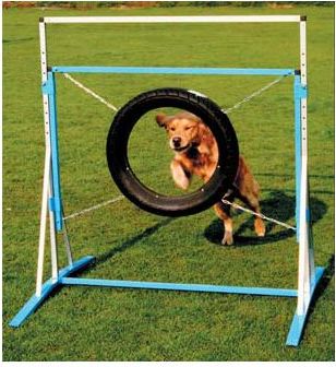 Agility Banden