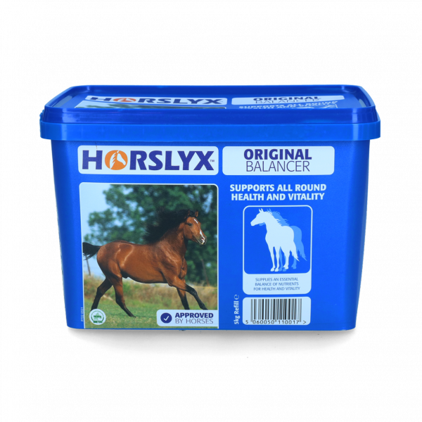 Horslyx Original afbeelding