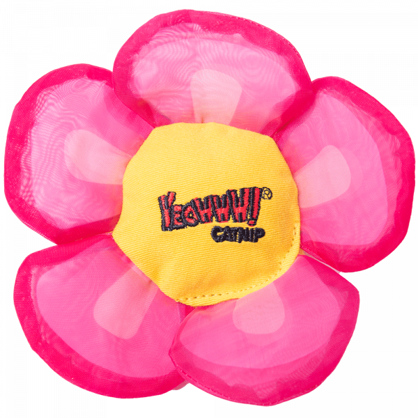 Yeowww Daisey's Flower Top Pink afbeelding