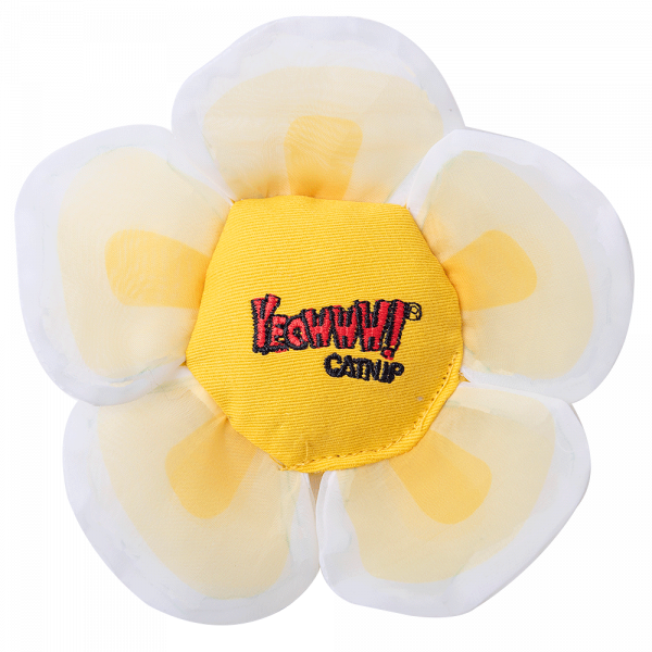 Yeowww Daisey's Flower Top White afbeelding