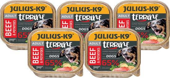 Julius-K9 Paté Beef & Potatoes - 5 x 150 g