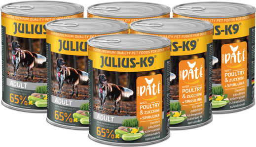 Julius-K9 Paté Kip & Courgette - Voordeelpakket - 6 x 800g