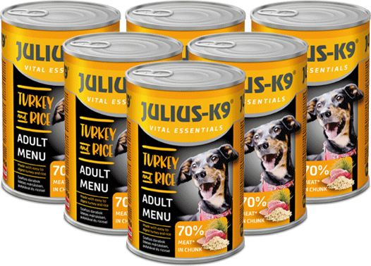 Julius-K9 Turkey & Rice - Voordeelpakket - 6 x 1240g