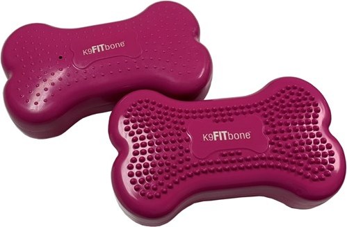 FitPaws bone mini - set van 2 stuks